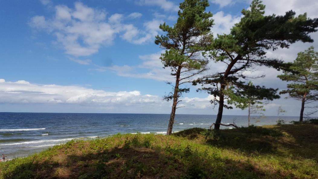 Wiselka Holiday House-1,2Km To The Beach; 5 Bedrooms, 3 Bahrooms; Fire Place. Private Sauna! Екстериор снимка